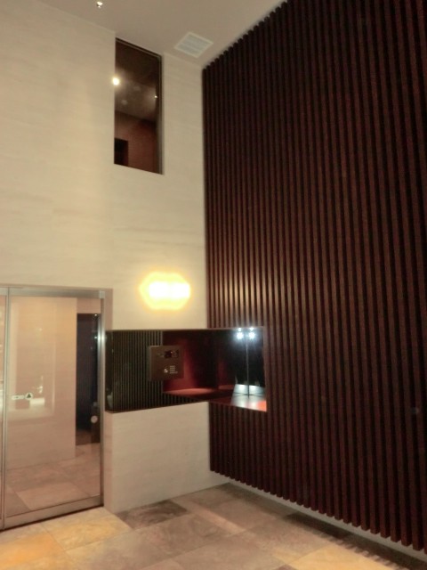 フェニックス川崎参番館 CIMG8746